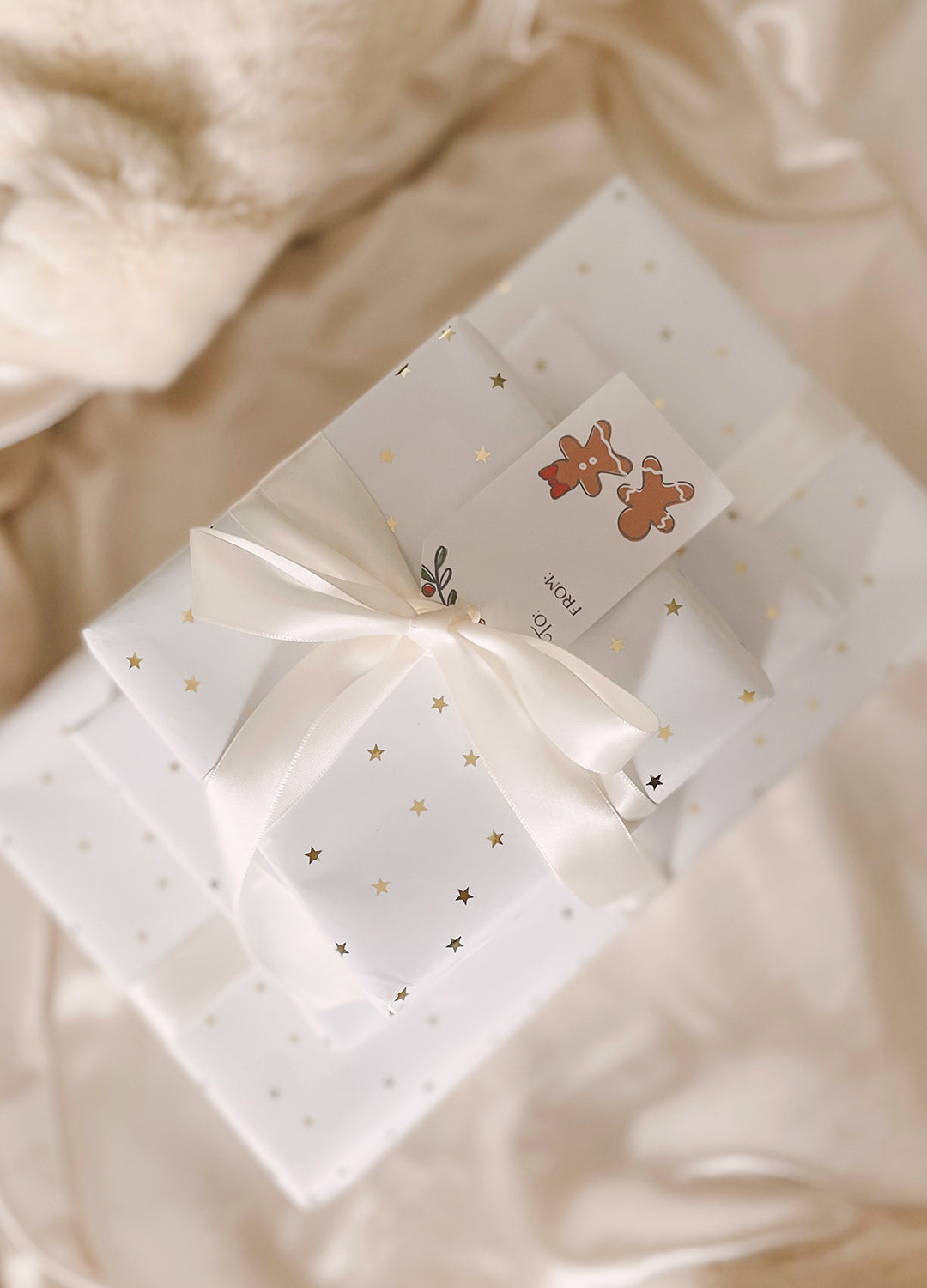 Holly & Spice Holiday Gift Tags - Set of 4 illustrated printable Christmas tags